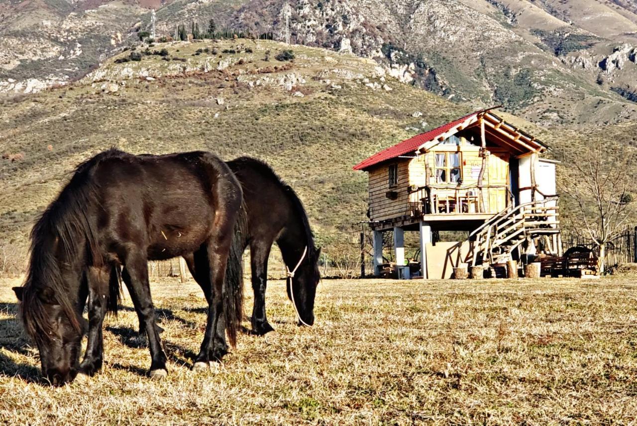 Отель Life On The Farm Nepravishte Экстерьер фото