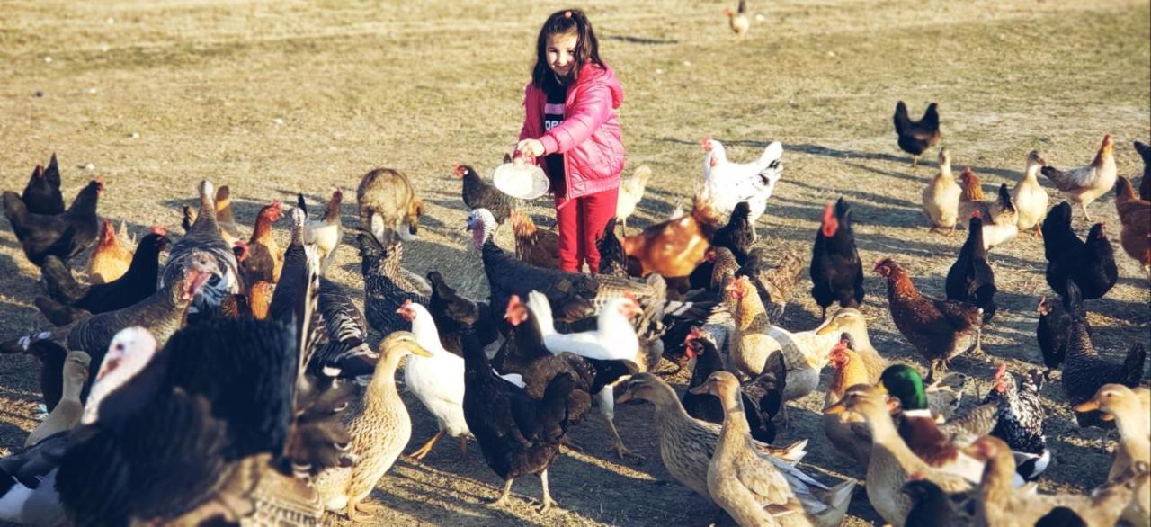 Отель Life On The Farm Nepravishte Экстерьер фото