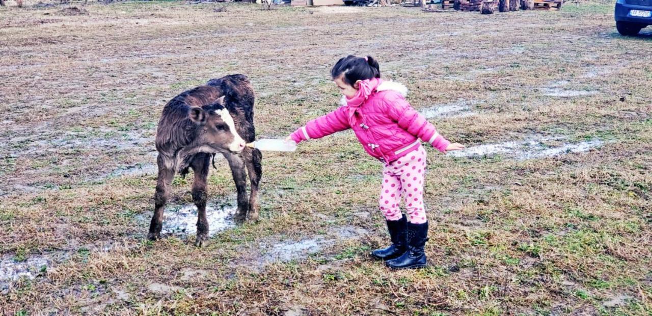 Отель Life On The Farm Nepravishte Экстерьер фото