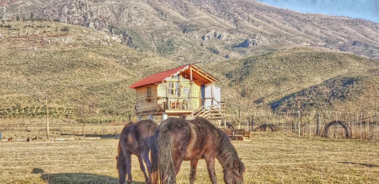 Отель Life On The Farm Nepravishte Экстерьер фото