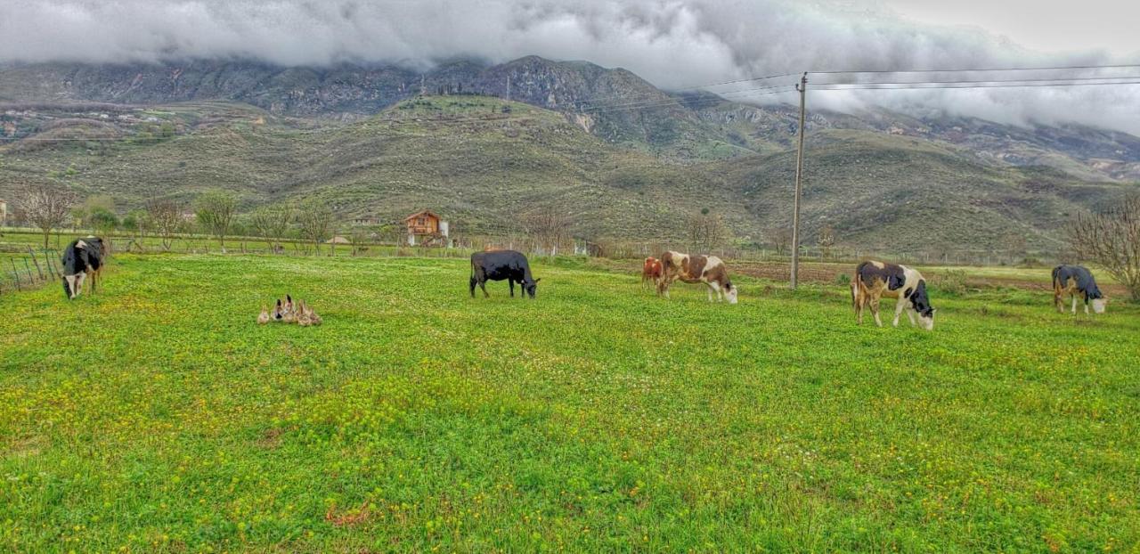 Отель Life On The Farm Nepravishte Экстерьер фото