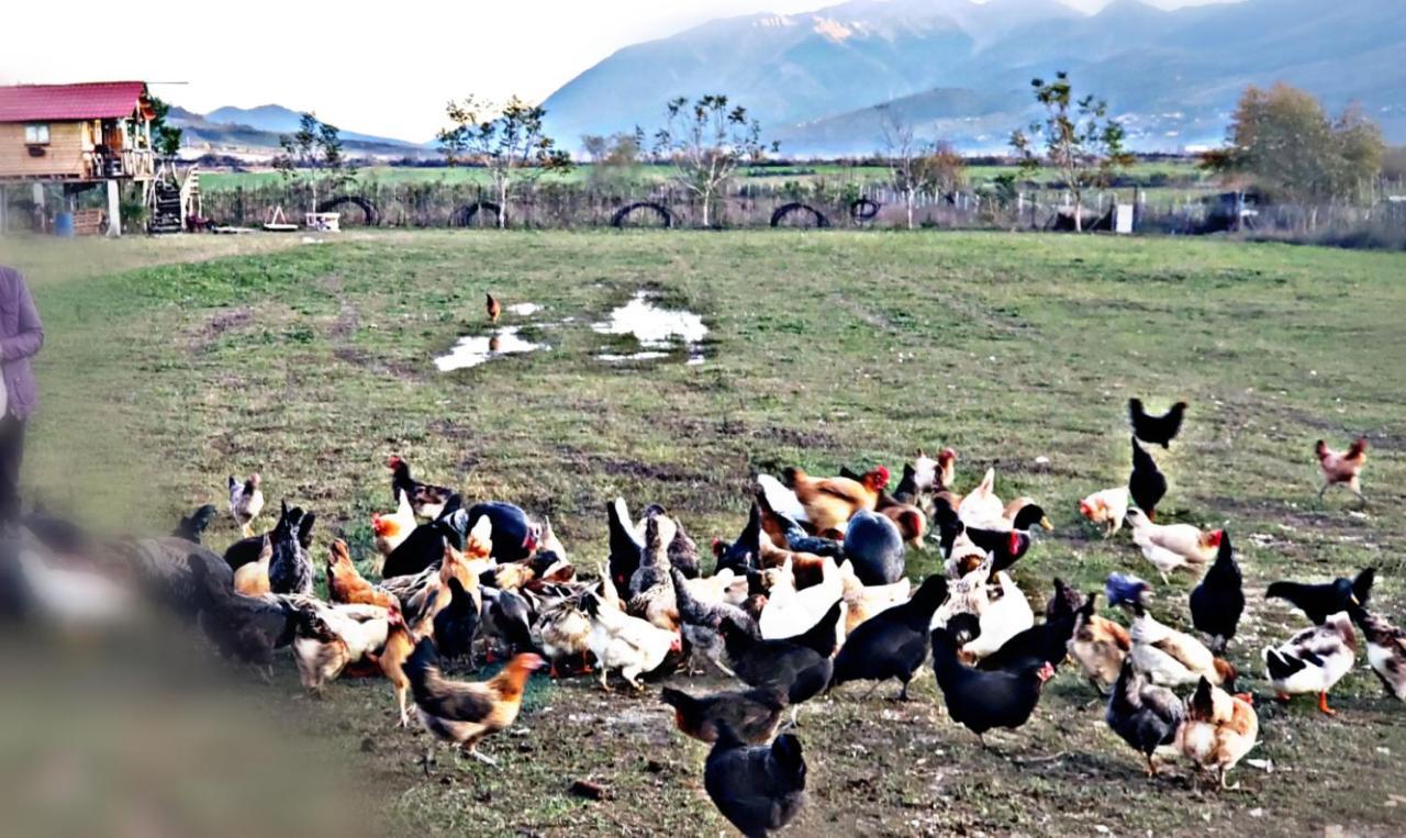 Отель Life On The Farm Nepravishte Экстерьер фото